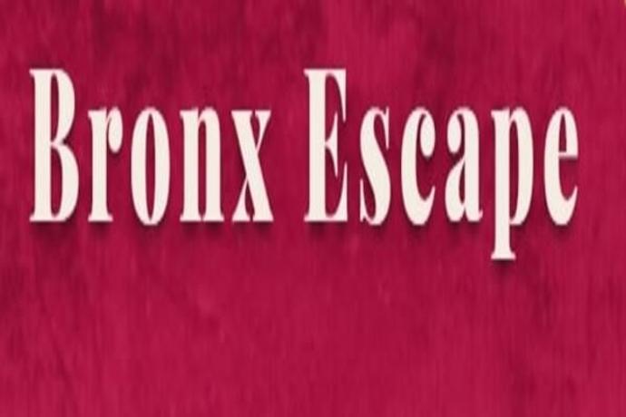 Bronx Escape