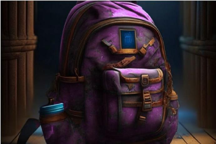 Missing Backpack Case of The Missing Backpack | Escape Davis