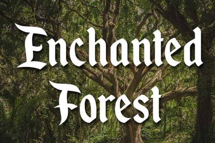 The Mystery of the Enchanted Forest