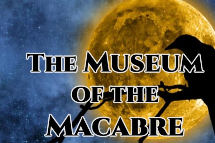 Amelia Island Escape Rooms