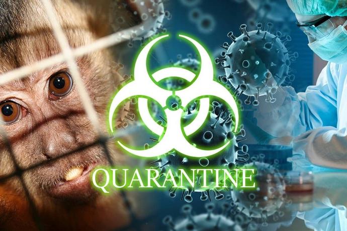quarantine-escape-it-houston